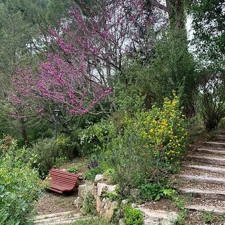 Villa Vivenda De Luxe A Barcelona *